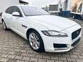 Jaguar XF Prestige AWD 2.HD|LED|HEAD-UP|LED|SPUR|KAMERA Blanc - thumbnail 10