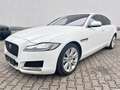 Jaguar XF Prestige AWD 2.HD|LED|HEAD-UP|LED|SPUR|KAMERA Blanc - thumbnail 9
