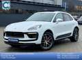 Porsche Macan S *PASM-PANO-ACC-18 WEGE-360-PTV PLUS* Weiß - thumbnail 1