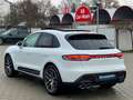 Porsche Macan S *PASM-PANO-ACC-18 WEGE-360-PTV PLUS* Weiß - thumbnail 3