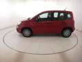 Fiat Panda 1.0 HYB 70CV Rot - thumbnail 8