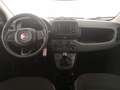 Fiat Panda 1.0 HYB 70CV Rot - thumbnail 14