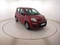Fiat Panda 1.0 HYB 70CV Rot - thumbnail 3