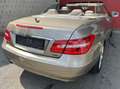 Mercedes-Benz E 220 CABRIOLET CDI BE Avantgarde + NAVI + CUIR Bronze - thumbnail 6