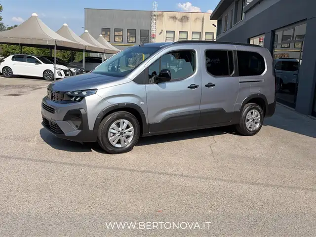 Peugeot Rifter view 2