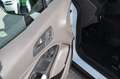 Ford Transit Connect Transit Connect L1 220 1,5 AHV KLIMA 1.Besitz Weiß - thumbnail 9