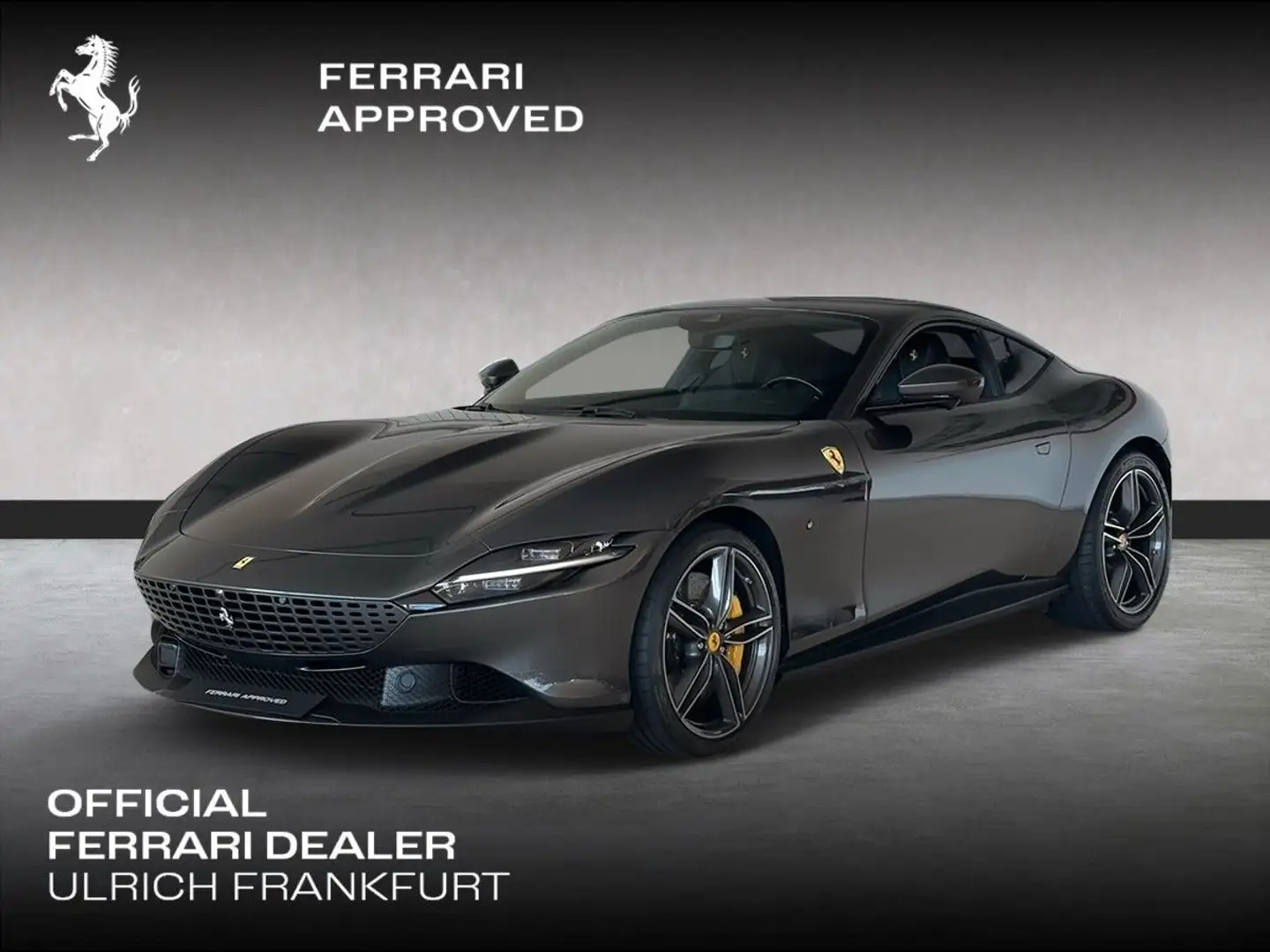 Ferrari Roma ***Ferrari Frankfurt*** Šedá - 1