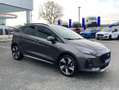 Ford Fiesta 1.0 EcoBoost MHEV Active 125 Grigio - thumbnail 7