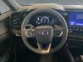 Lexus RX 350 h E-Four Business *8FACH*CARPLAY* Schwarz - thumbnail 13