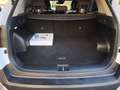 Kia Sportage 1.6 T-GDi PHEV Drive 4x4 265 Blanco - thumbnail 10