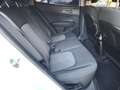 Kia Sportage 1.6 T-GDi PHEV Drive 4x4 265 Blanco - thumbnail 11