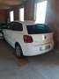 Volkswagen Polo Cross 5p 1.6 tdi 90cv - thumbnail 3