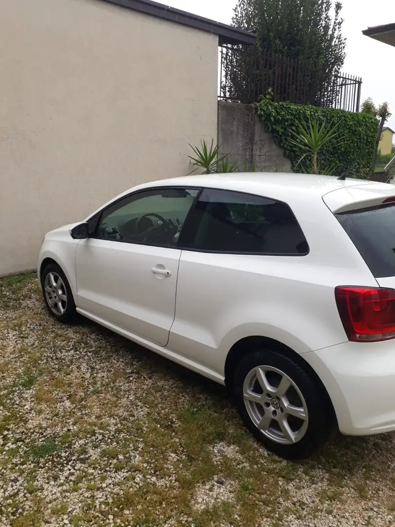 Volkswagen Polo Cross 5p 1.6 tdi 90cv - 1