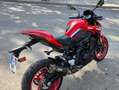 Kawasaki Z 900 50 Aniversario 125CV + Kit Performance Roşu - thumbnail 8