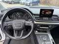 Audi Q5 55 TFSI e quattro sport S-Line Pano SHZ Weiß - thumbnail 8