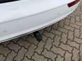 Audi Q5 55 TFSI e quattro sport S-Line Pano SHZ Weiß - thumbnail 22