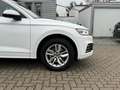 Audi Q5 55 TFSI e quattro sport S-Line Pano SHZ Weiß - thumbnail 32