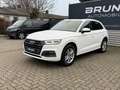 Audi Q5 55 TFSI e quattro sport S-Line Pano SHZ Weiß - thumbnail 23
