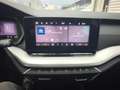 Skoda Octavia Essence TDI Silber - thumbnail 10