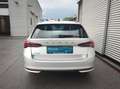 Skoda Octavia Essence TDI Silber - thumbnail 15