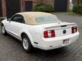 Ford Mustang Cabrio 45th anniversary Blanc - thumbnail 4