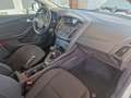 Ford Focus Turnier Trend Klima PDC MFL Wit - thumbnail 11