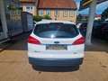 Ford Focus Turnier Trend Klima PDC MFL Wit - thumbnail 6