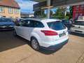 Ford Focus Turnier Trend Klima PDC MFL Wit - thumbnail 5