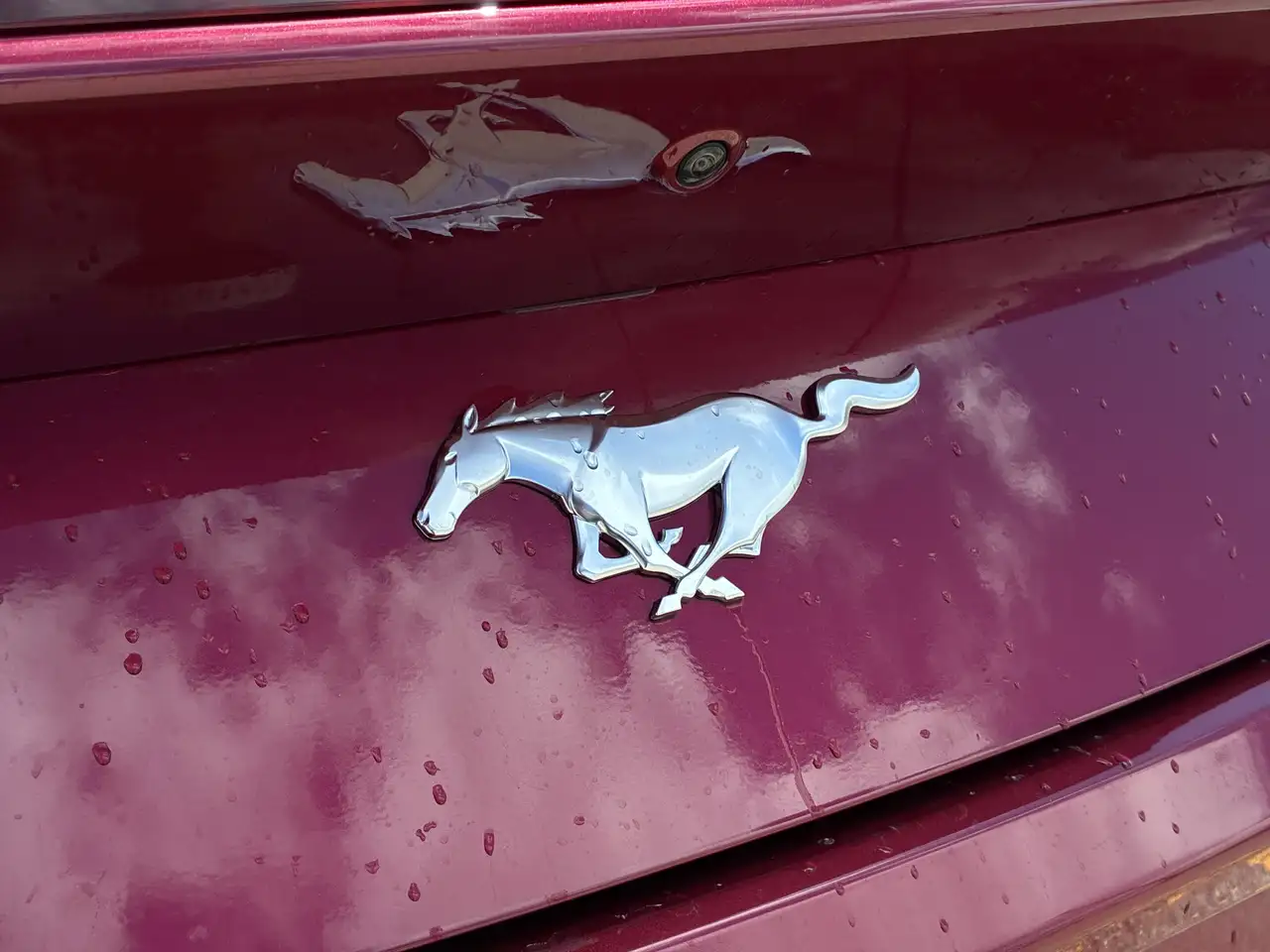 Ford Mustang снимка Ford Mustang