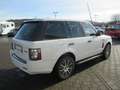 Land Rover Range Rover 5.0 HSE Autom., Leder, Navi Weiß - thumbnail 6