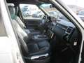 Land Rover Range Rover 5.0 HSE Autom., Leder, Navi Weiß - thumbnail 8