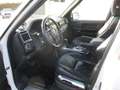 Land Rover Range Rover 5.0 HSE Autom., Leder, Navi Weiß - thumbnail 4