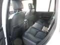 Land Rover Range Rover 5.0 HSE Autom., Leder, Navi Weiß - thumbnail 5