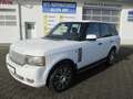 Land Rover Range Rover 5.0 HSE Autom., Leder, Navi Weiß - thumbnail 2