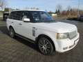 Land Rover Range Rover 5.0 HSE Autom., Leder, Navi Weiß - thumbnail 3
