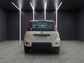 Fiat New Panda Panda 1.2 EasyPower City Life GPL Weiß - thumbnail 7