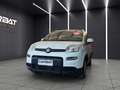 Fiat New Panda Panda 1.2 EasyPower City Life GPL Weiß - thumbnail 1