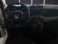 Fiat New Panda Panda 1.2 EasyPower City Life GPL Weiß - thumbnail 10