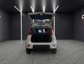 Fiat New Panda Panda 1.2 EasyPower City Life GPL Weiß - thumbnail 9