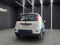 Fiat New Panda Panda 1.2 EasyPower City Life GPL Weiß - thumbnail 8