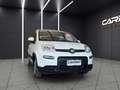 Fiat New Panda Panda 1.2 EasyPower City Life GPL Weiß - thumbnail 3