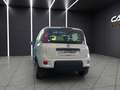 Fiat New Panda Panda 1.2 EasyPower City Life GPL Weiß - thumbnail 6