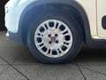 Fiat New Panda Panda 1.2 EasyPower City Life GPL Weiß - thumbnail 18