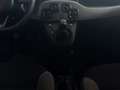 Fiat New Panda Panda 1.2 EasyPower City Life GPL Weiß - thumbnail 13
