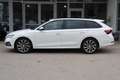 Skoda Octavia Combi First Edition/weiß/Reisepaket/Navi - thumbnail 7