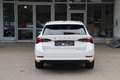 Skoda Octavia Combi First Edition/weiß/Reisepaket/Navi - thumbnail 13