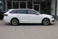 Skoda Octavia Combi First Edition/weiß/Reisepaket/Navi - thumbnail 8
