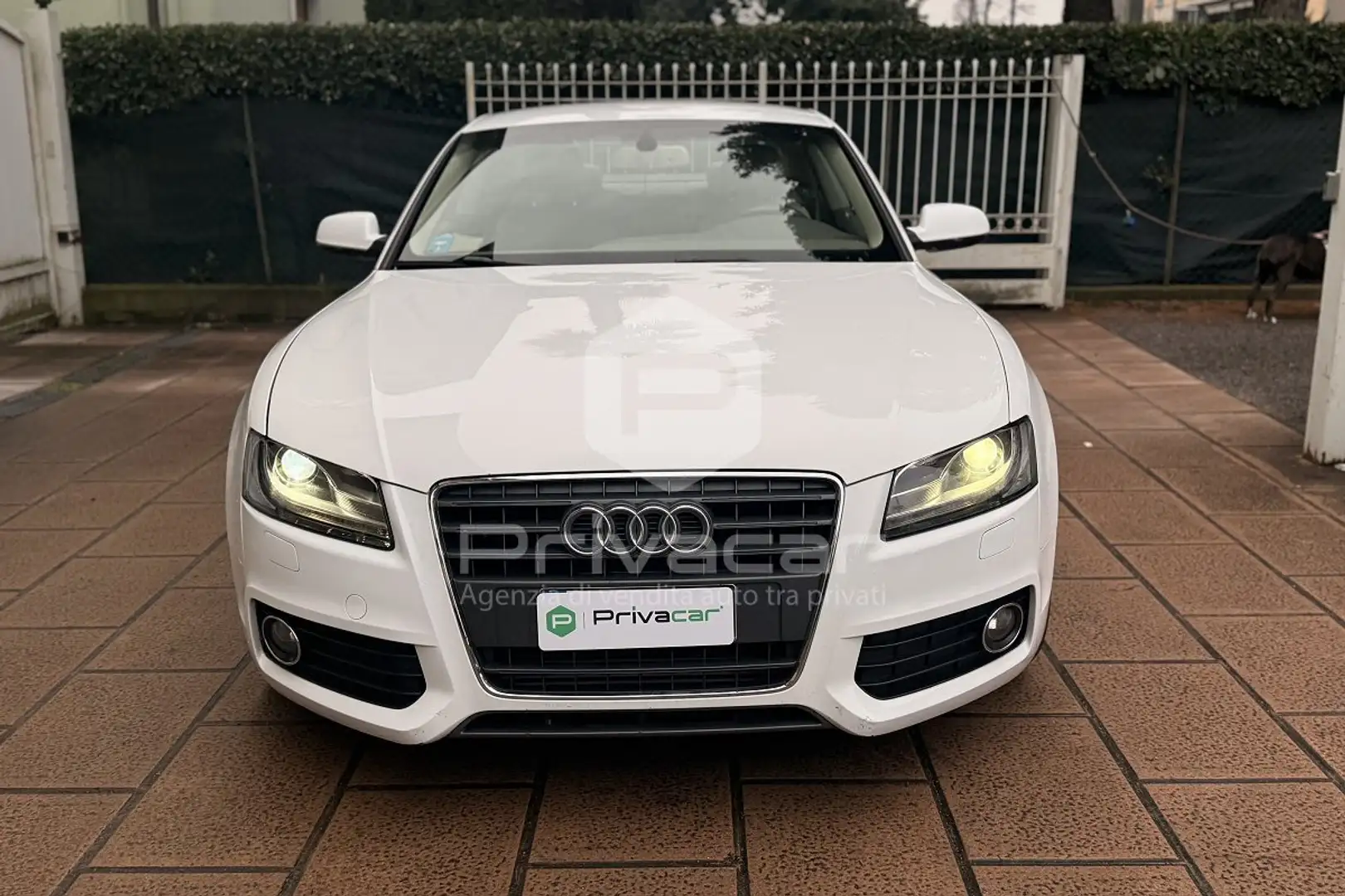 Audi A5 A5 2.7 V6 TDI F.AP. multitronic Weiß - 2