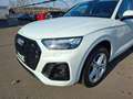 Audi Q5 40 TDI quattro * S-LINE * PANORAMADACH Weiß - thumbnail 14