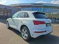Audi Q5 40 TDI quattro * S-LINE * PANORAMADACH Weiß - thumbnail 7